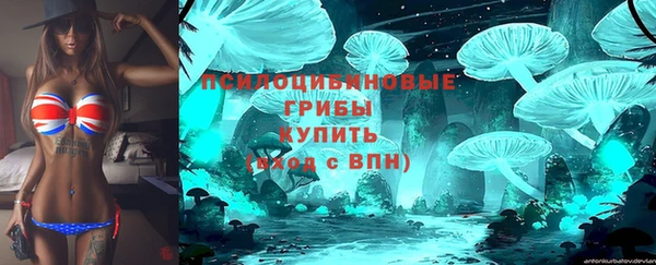 мяу мяу мука Алексеевка