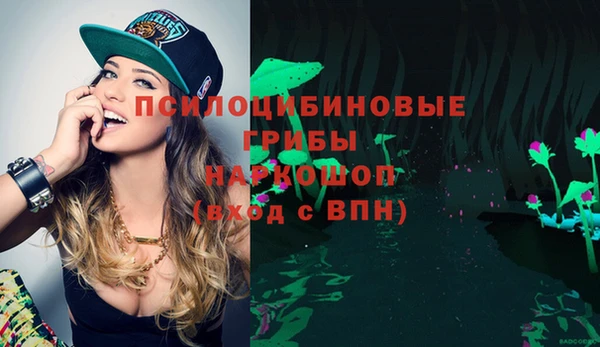 мяу мяу мука Алексеевка
