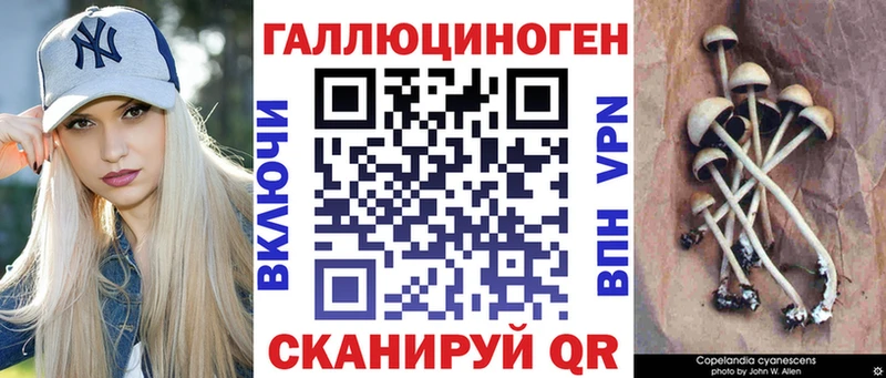 Галлюциногенные грибы Magic Shrooms  цены наркотик  Брянск 